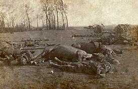 British casualties at Le Cateaua.jpg