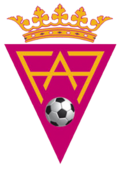 Federación Alavesa de Fútbol.png