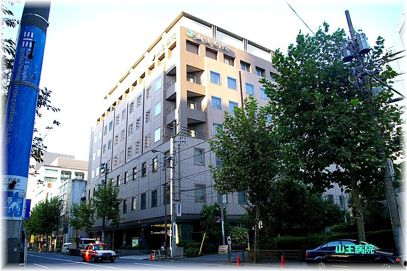 File:Sannoh hospital.jpg