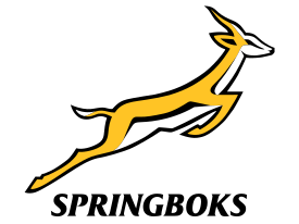 File:South Africa national rugby union team.svg