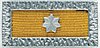 Meritorious Unit Citation (Australia) with star.jpg