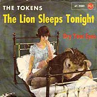 “The Lion Sleeps Tonight” cover