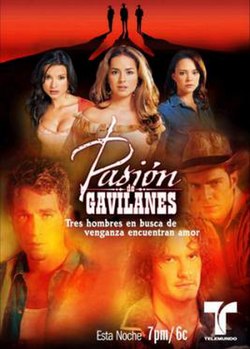 Pasión de gavilanes poster.jpg