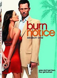 Burn Notice Season 1 movie