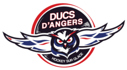 Логотип Ducs D'Angers.png
