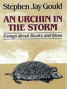 An Urchin in the Storm.jpg