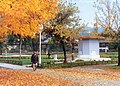 Kamberovića polje in autumn.