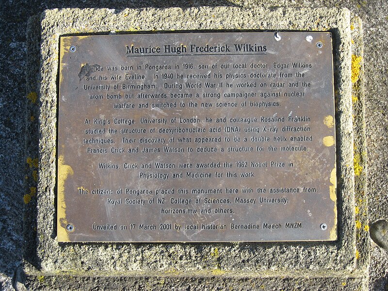 File:Wilkins Plaque Pongaroa 2009.jpg