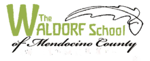School wordmark graphic with the words 'The Waldorf School' in lime green sans-serif block letters and 'of Mendocino County' in black script, with a simple black line drawing of a generic deciduous tree leaf