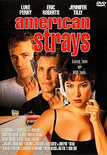 Amerika Strays DVD Cover.jpg