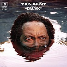 DrunkThundercat.jpg