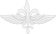 Sayeret Matkal insignia.svg