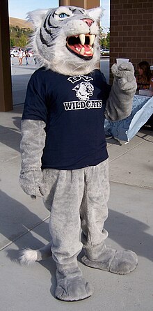 A costumed mascot wildcat. The costume is covered in gray and fuzzy. The mascot has a navy blue shirt with the text "DV Wildcats" and the school's wildcat logo.