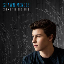 Shawn Mendes - Something Big (Official Single Cover).png