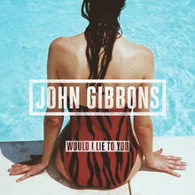 Would I Lie to You - John Gibbons.png