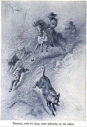 Illustration from Ernest Thompson Seton's Wild...