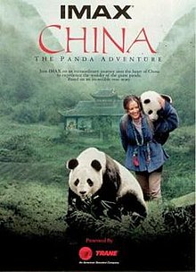 China The Panda Adventure.jpg