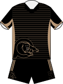 File:Penrith Panthers Primary Jersey 2016.svg