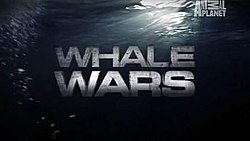 Whalewars titlecard.jpg