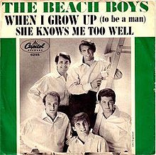 Beach Boys - When I Grow Up (to be a man).jpg