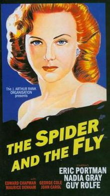 The Spider and the Fly VideoCover.jpeg