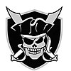 Логотип Rochester Raiders
