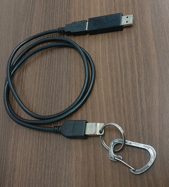 File:Buskill original cable 2020.jpg