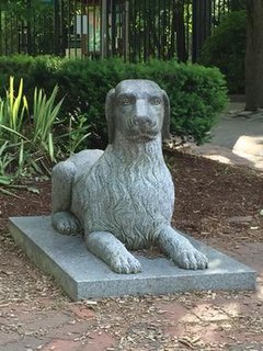 Stone Dog II, located outside the Zoo at Forest Park (Springfield, MA). (photo by C. Welz) The Stone Dog is a 2.5 foot tall, 4 foot long, 2 foot wide statue of a golden retriever.