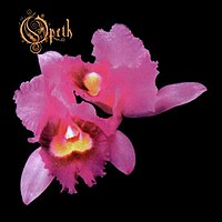 200px-Opeth_Orchid.jpg