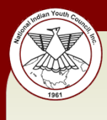 Национальный совет молодежи Индии Logo.gif