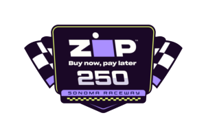 File:Zip Buy Now, Pay Later 250 logo.webp