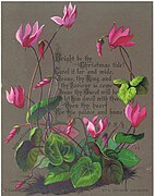 Bright be thy Christmas tide! Carol it far and wide, ..., words by F.R. Havergal, floral design by Helga von Cramm, c. 1880.