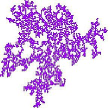 Modeling of the spread of disease using Cellular Automata and Nearest Neighbor Interactions Spread of Disease.JPG