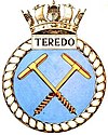 TEREDO badge-1-.jpg