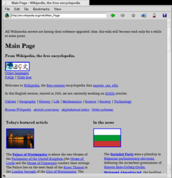 NetPositive 2.2 pod BeOS R5 zobrazující Wikipedii (bez podpory CSS)