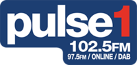 Pulse 1 logo.png