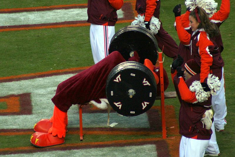 800px-Hokie_bird_bench_press.jpg