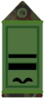 50px-IE-Aircorps-OF1a.png