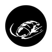Talitres-logo-2017.png