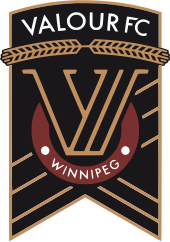 Доблесть FC logo.svg