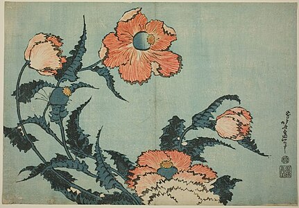 Poppies (罌粟 or 芥子 keshi)