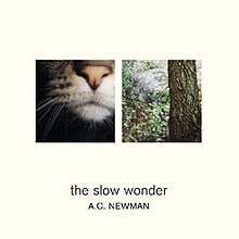 The Slow Wonder.jpg