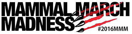 The words Mammal March Madness with claws appearing to rip through the logo.