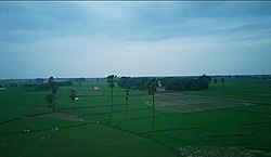 Lawishely Green farms of Tajpur Kurrah village during Monsoon.