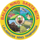 Official seal of Santa Rita