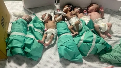File:Premature babies in Gaza, 2023.webp