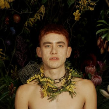 An image of Olly Alexander surrounded by various flora against a dark background.