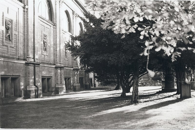 File:Ny Carlsberg Glyptotek garden.jpg