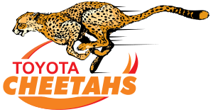 Logo Cheetahs Rugby.svg