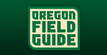 Oregon Field Guide Logo 2010.png